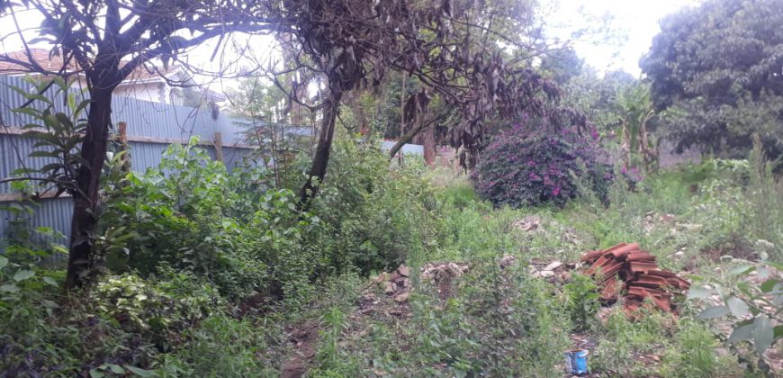 1 Acre Prime Land for sale in Lavington