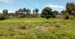 5 Acres Prime Project Development Land