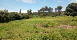 5 Acres Prime Project Development Land