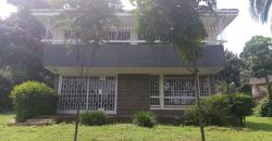 FOR COMMERCIAL LETTING; 4 Bedrooms with 2 DSQs Standalone House on 1 Acre. FOR COMMERCIAL LETTING; 4 Bedrooms with 2 DSQs Standalone House on 1 Acre.