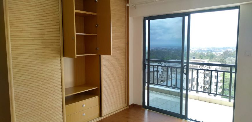 3 Bedroom + DSQ Brand New Apartment To Let