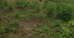 4.5 Acres Prime Land for Development in Kikuyu- Off the Southern Bypass. 4.5 Acres Prime Land for Development in Kikuyu- Off the Southern Bypass.