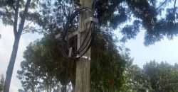 Prime Residential Four- 1/4 Acre Plots for Sale in Kikuyu- Gikambura Area