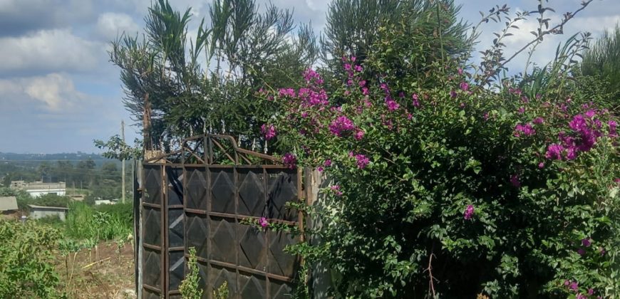 A Large 1/8th Acre Plot with a 2 Bedrooms Bungalow for Sale in Kikuyu-Kamangu Area for only Ksh.3.7M