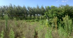 A Large 1/8th Acre Plot with a 2 Bedrooms Bungalow for Sale in Kikuyu-Kamangu Area for only Ksh.3.7M