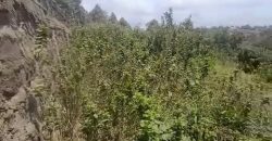 2.125 Acres Block Prime Development Land in Kikuyu Town, Kidfarmaco Estate. 2.125 Acres Block Prime Development Land in Kikuyu Town, Kidfarmaco Estate.