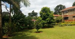 Prime 1 Acre Parcel of Land with an Extremely Clean 8 Bedrooms House in Runda for Sale. Prime 1 Acre Parcel of Land with an Extremely Clean 8 Bedrooms House in Runda for Sale.