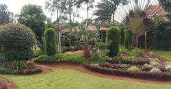 Prime 1 Acre Parcel of Land with an Extremely Clean 8 Bedrooms House in Runda for Sale. Prime 1 Acre Parcel of Land with an Extremely Clean 8 Bedrooms House in Runda for Sale.