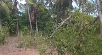 1 Acre Ocean Front Land- 1KM from the Beach in Watamu Near Safari Lenana for Sale.